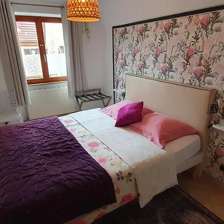 Gaby Et Georges Apartamento Beblenheim