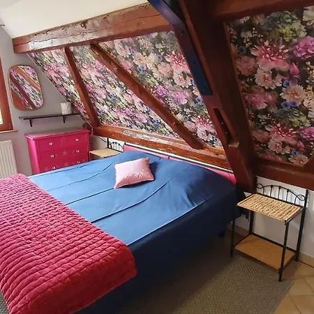 Gaby Et Georges Apartamento Beblenheim